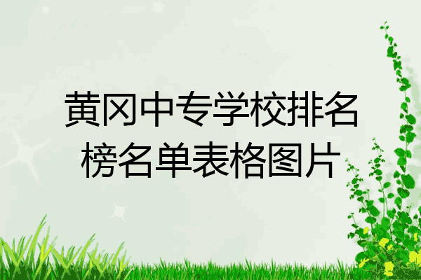 黄冈中专学校排名榜名单表格图片