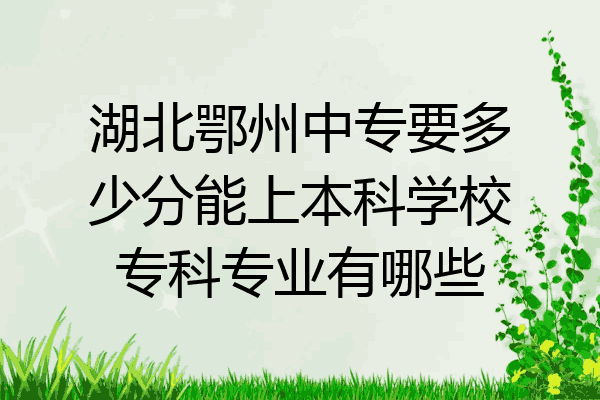 湖北鄂州中专要多少分能上本科学校专科专业有哪些