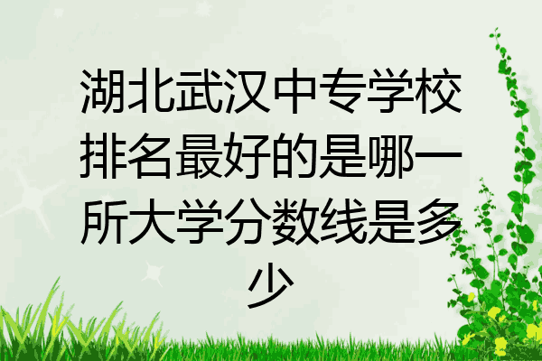 湖北武汉中专学校排名最好的是哪一所大学分数线是多少