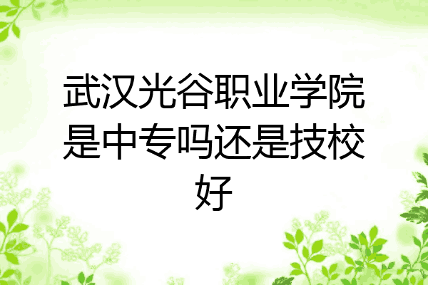 武汉光谷职业学院是中专吗还是技校好
