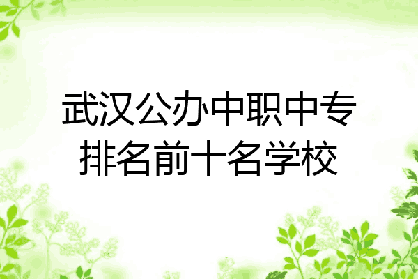 武汉公办中职中专排名前十名学校