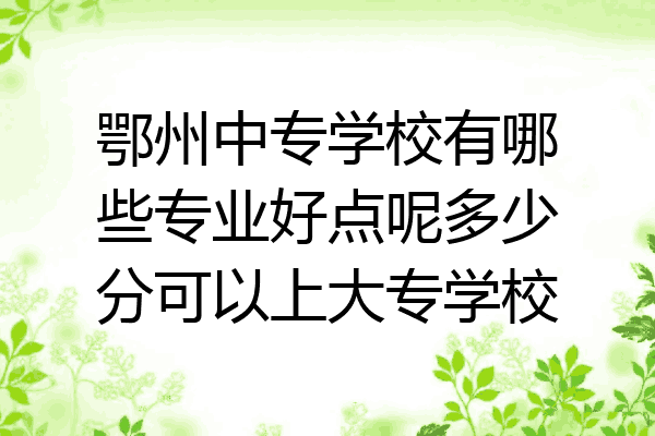 鄂州中专学校有哪些专业好点呢多少分可以上大专学校
