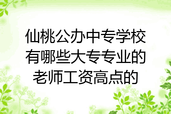 仙桃公办中专学校有哪些大专专业的老师工资高点的