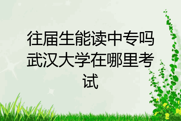 往届生能读中专吗武汉大学在哪里考试
