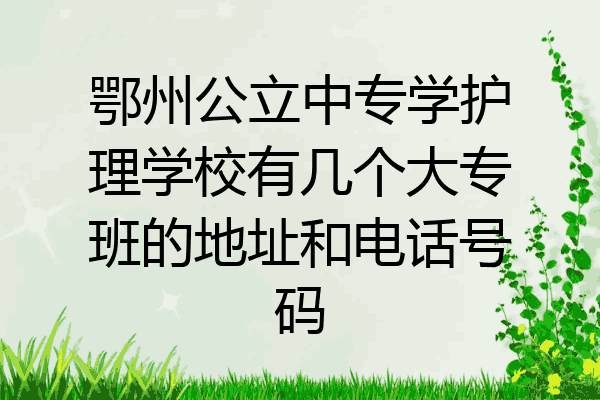 鄂州公立中专学护理学校有几个大专班的地址和电话号码