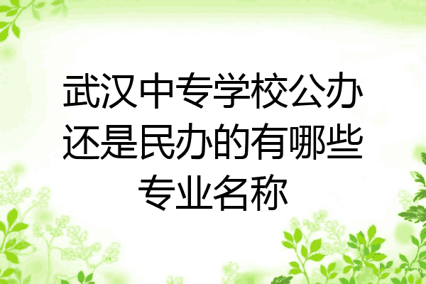 武汉中专学校公办还是民办的有哪些专业名称