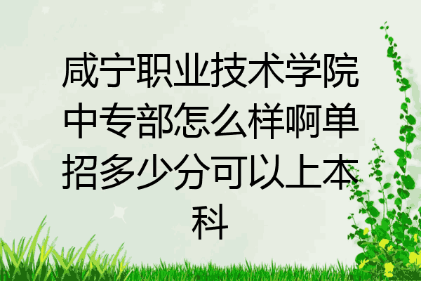 咸宁职业技术学院中专部怎么样啊单招多少分可以上本科