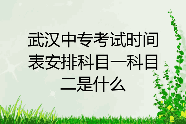 武汉中专考试时间表安排科目一科目二是什么