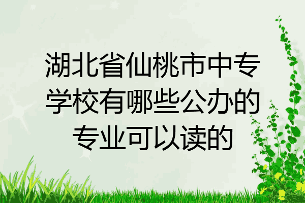 湖北省仙桃市中专学校有哪些公办的专业可以读的