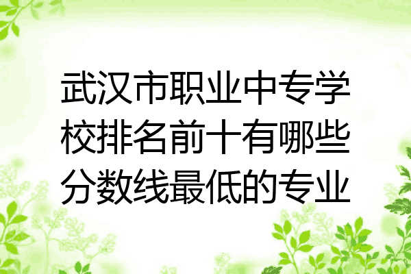 武汉市职业中专学校排名前十有哪些分数线最低的专业