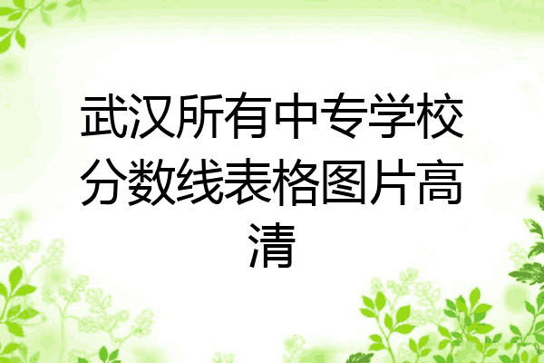 武汉所有中专学校分数线表格图片高清