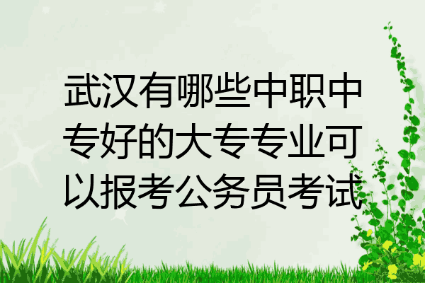 武汉有哪些中职中专好的大专专业可以报考公务员考试