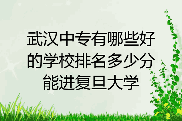 武汉中专有哪些好的学校排名多少分能进复旦大学