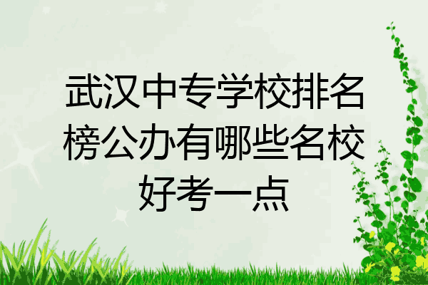 武汉中专学校排名榜公办有哪些名校好考一点