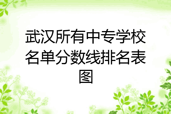 武汉所有中专学校名单分数线排名表图