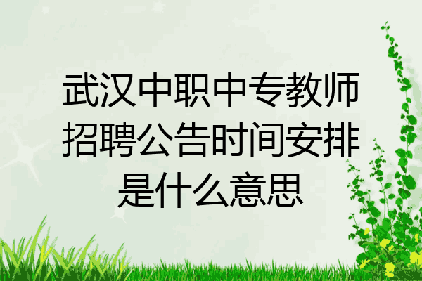 武汉中职中专教师招聘公告时间安排是什么意思