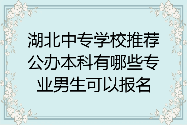 湖北中专学校推荐公办本科有哪些专业男生可以报名