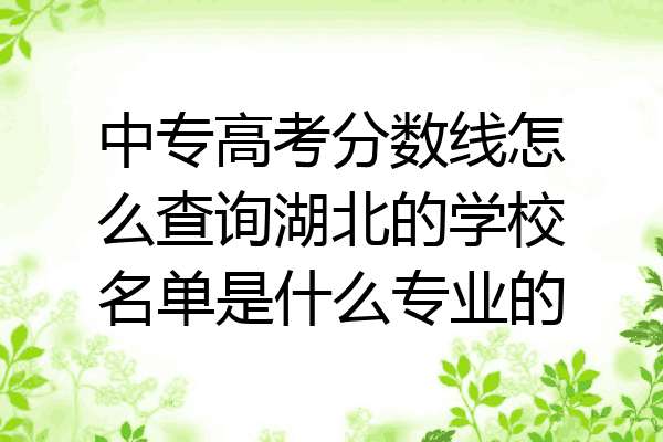 中专高考分数线怎么查询湖北的学校名单是什么专业的