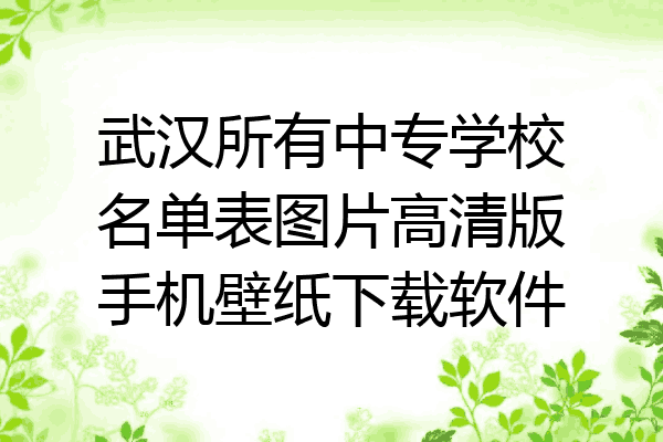 武汉所有中专学校名单表图片高清版手机壁纸下载软件