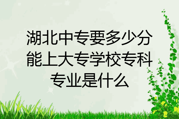 湖北中专要多少分能上大专学校专科专业是什么