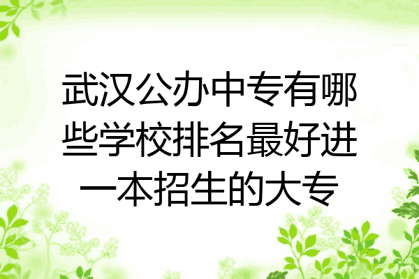 武汉公办中专有哪些学校排名最好进一本招生的大专