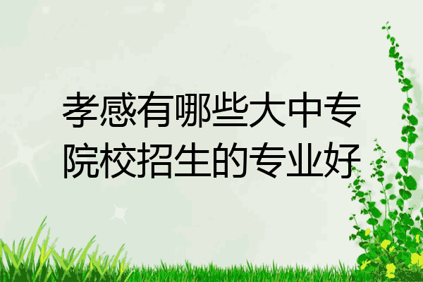 孝感有哪些大中专院校招生的专业好