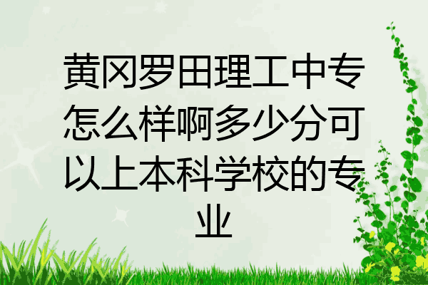 黄冈罗田理工中专怎么样啊多少分可以上本科学校的专业