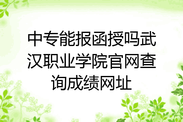 中专能报函授吗武汉职业学院官网查询成绩网址
