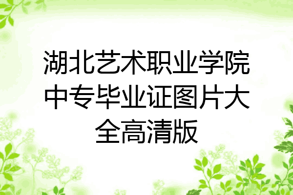 湖北艺术职业学院中专毕业证图片大全高清版