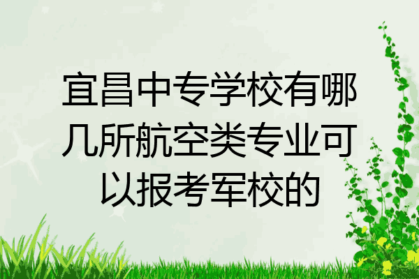 宜昌中专学校有哪几所航空类专业可以报考军校的