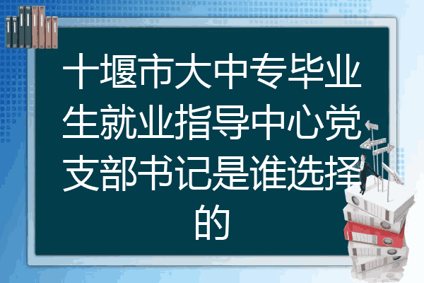 十堰市大中专毕业生就业指导中心党支部书记是谁选择的