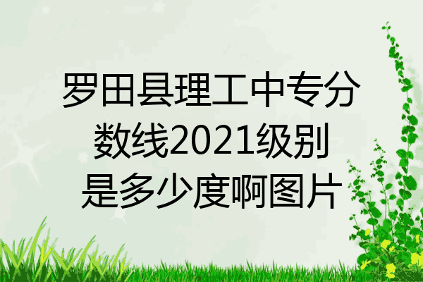 罗田县理工中专分数线2021级别是多少度啊图片