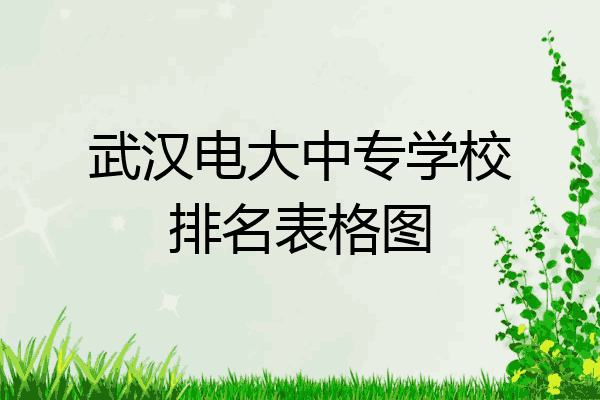 武汉电大中专学校排名表格图