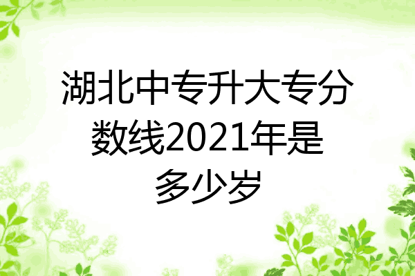 湖北中专升大专分数线2021年是多少岁