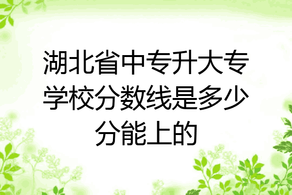湖北省中专升大专学校分数线是多少分能上的