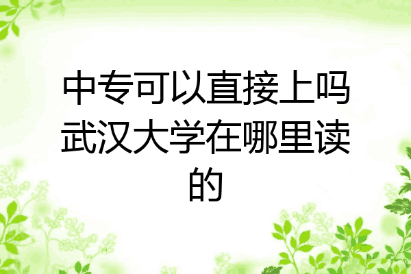 中专可以直接上吗武汉大学在哪里读的