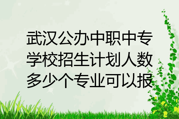 武汉公办中职中专学校招生计划人数多少个专业可以报