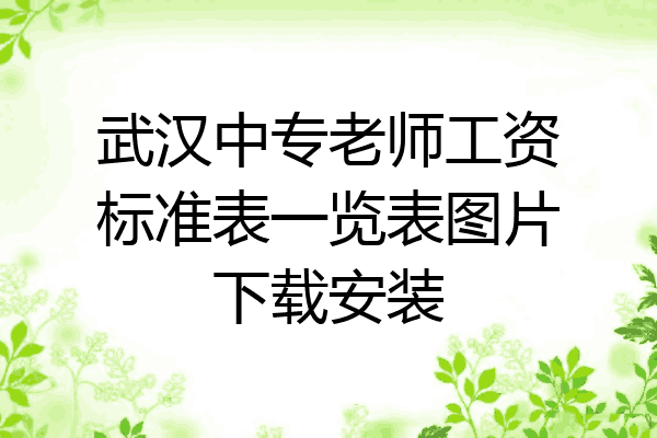 武汉中专老师工资标准表一览表图片下载安装