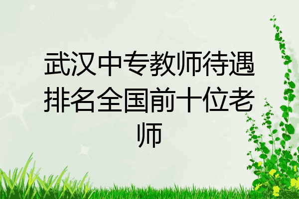 武汉中专教师待遇排名全国前十位老师