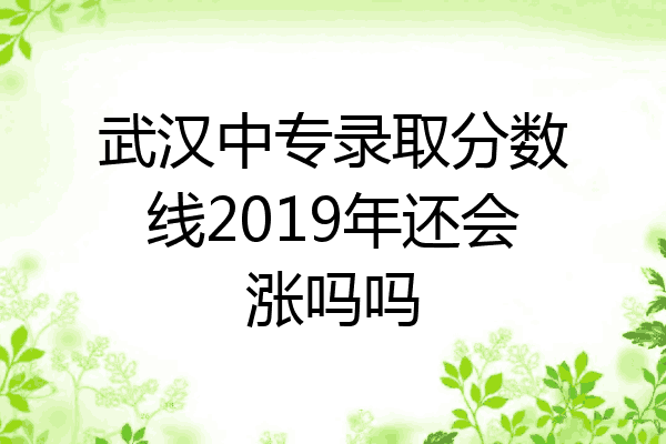 武汉中专录取分数线2019年还会涨吗吗