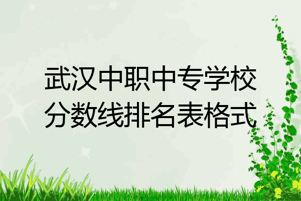 武汉中职中专学校分数线排名表格式