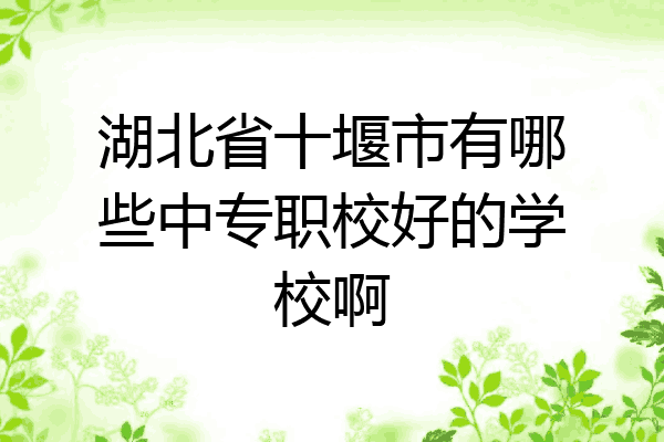 湖北省十堰市有哪些中专职校好的学校啊