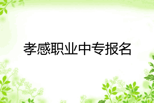 孝感职业中专报名