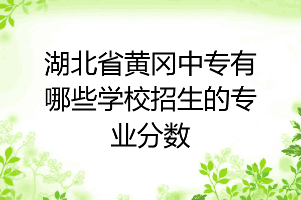 湖北省黄冈中专有哪些学校招生的专业分数