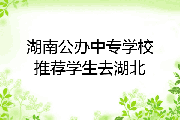 湖南公办中专学校推荐学生去湖北