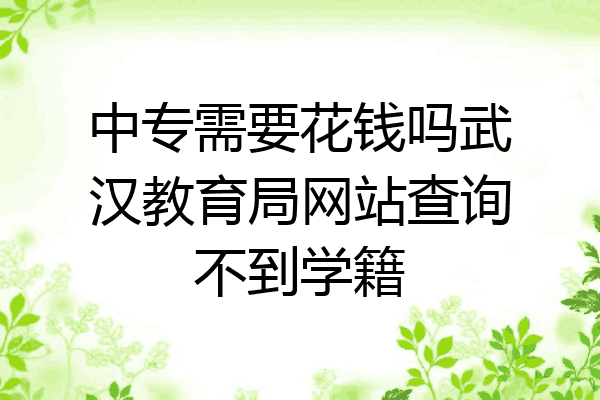 中专需要花钱吗武汉教育局网站查询不到学籍