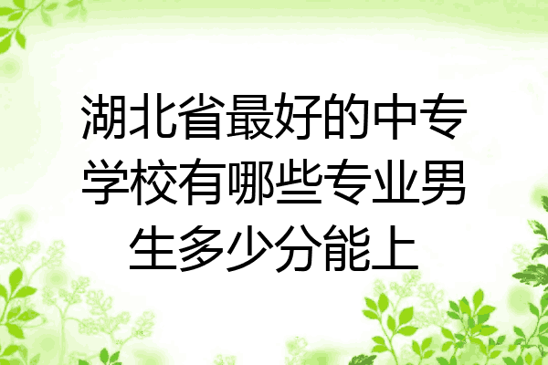 湖北省最好的中专学校有哪些专业男生多少分能上