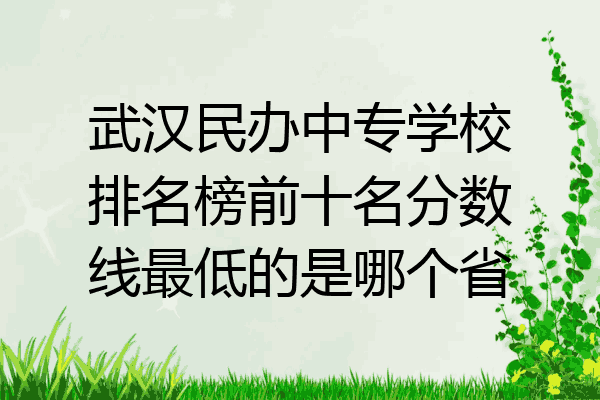 武汉民办中专学校排名榜前十名分数线最低的是哪个省