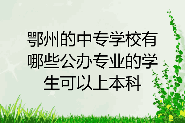 鄂州的中专学校有哪些公办专业的学生可以上本科