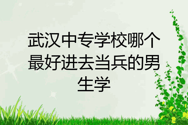 武汉中专学校哪个最好进去当兵的男生学